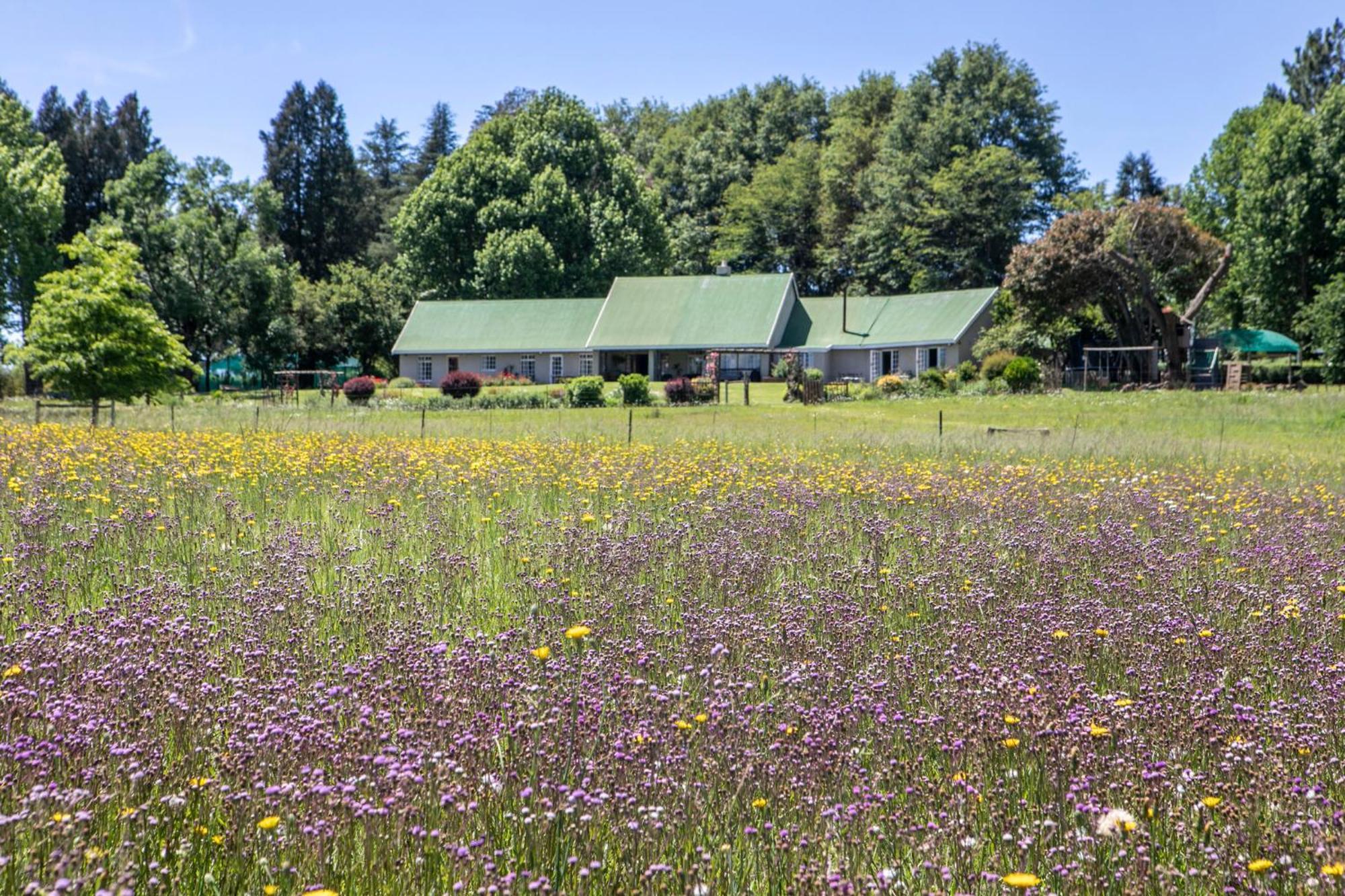 Khanyeni Himeville Zewnętrze zdjęcie